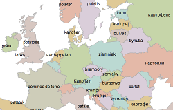 Screenshot of European word translator